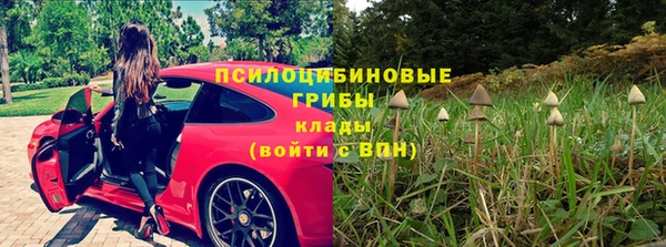 спиды Алзамай