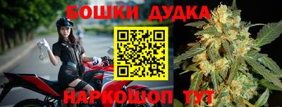 крисы Кунгур