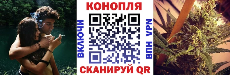 Шишки марихуана сатива  наркота  Котовск 